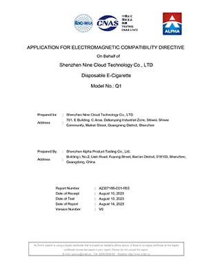 page-1-1 page-1-1